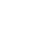 2024_biocatch_icon__icon-security-architecture-white