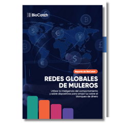 Global Money Mules Network Report - Spanish