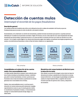 mules solution page - spanish snapshot