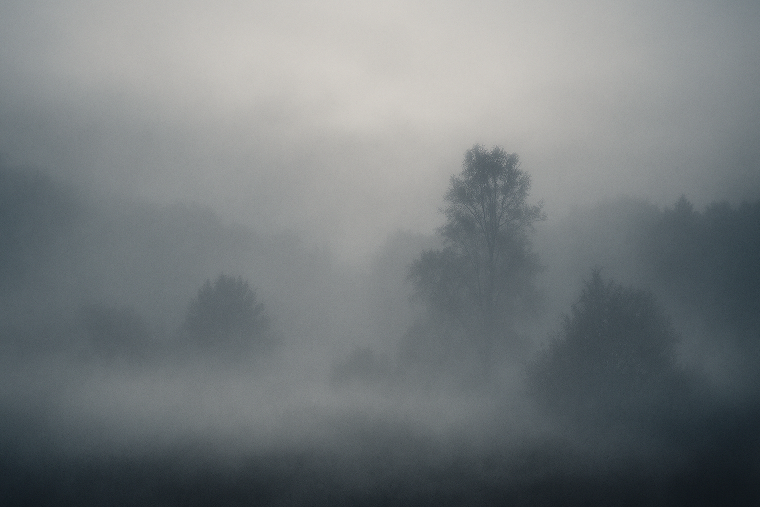 The hidden value of friction