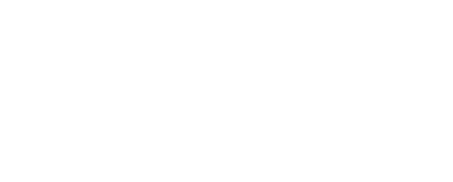 BioCatch_Logos_TSB-2