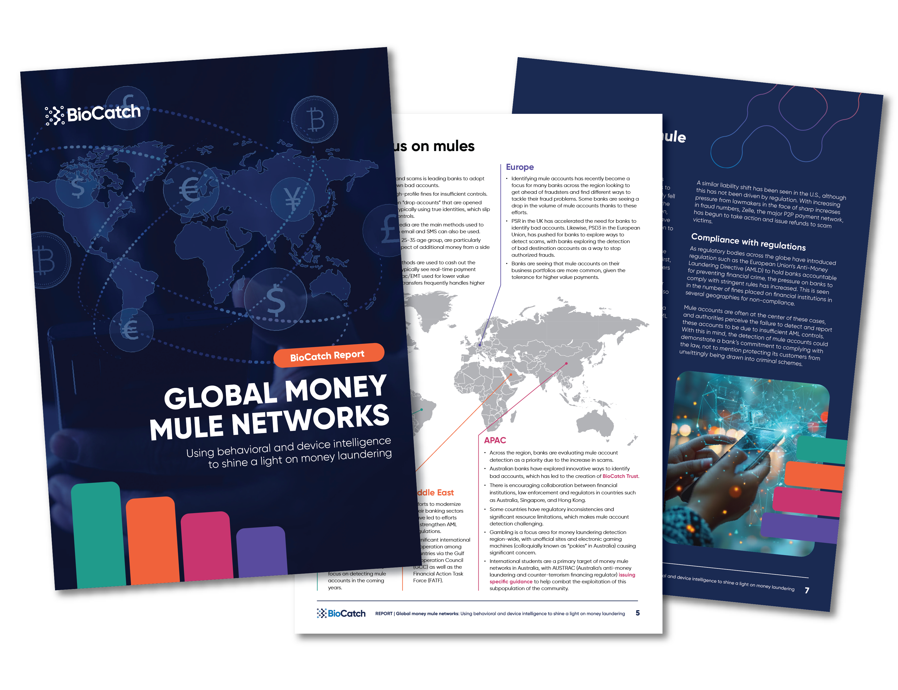 BioCatch_MoneyMulesNetwork_Thumb