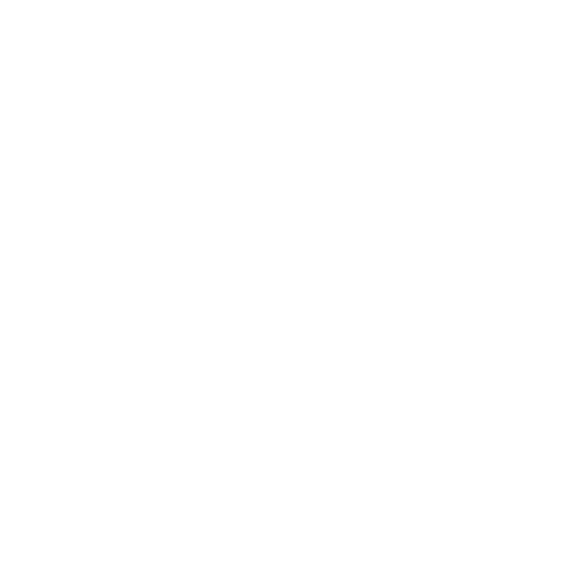 BioCatch_Nubank_Icon2