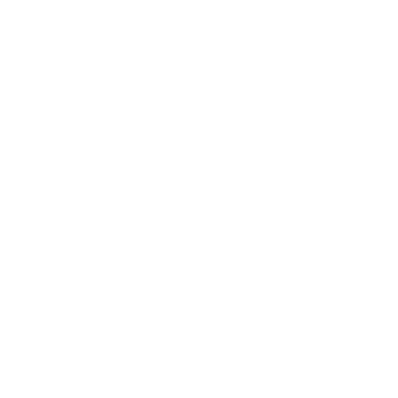 BioCatch_Nubank_Icon4