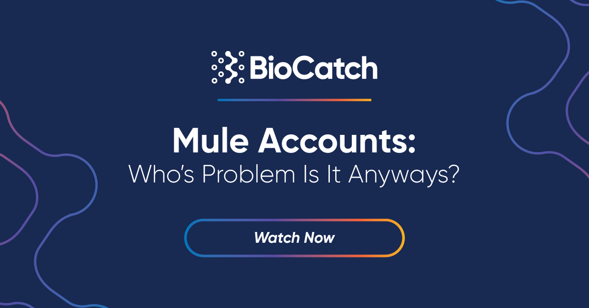 Mule Accounts: Whose Problem Is It Anyway?