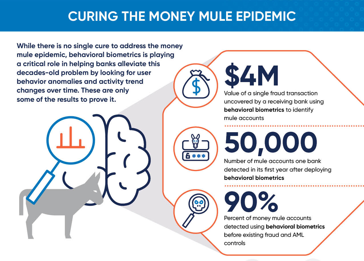 Mule Accounts: Ripping the Mask Off the Money Laundering Problem