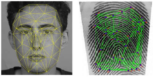 Behavioral Biometrics vs Static Biometrics: Dynamic Fraud Detection Explained