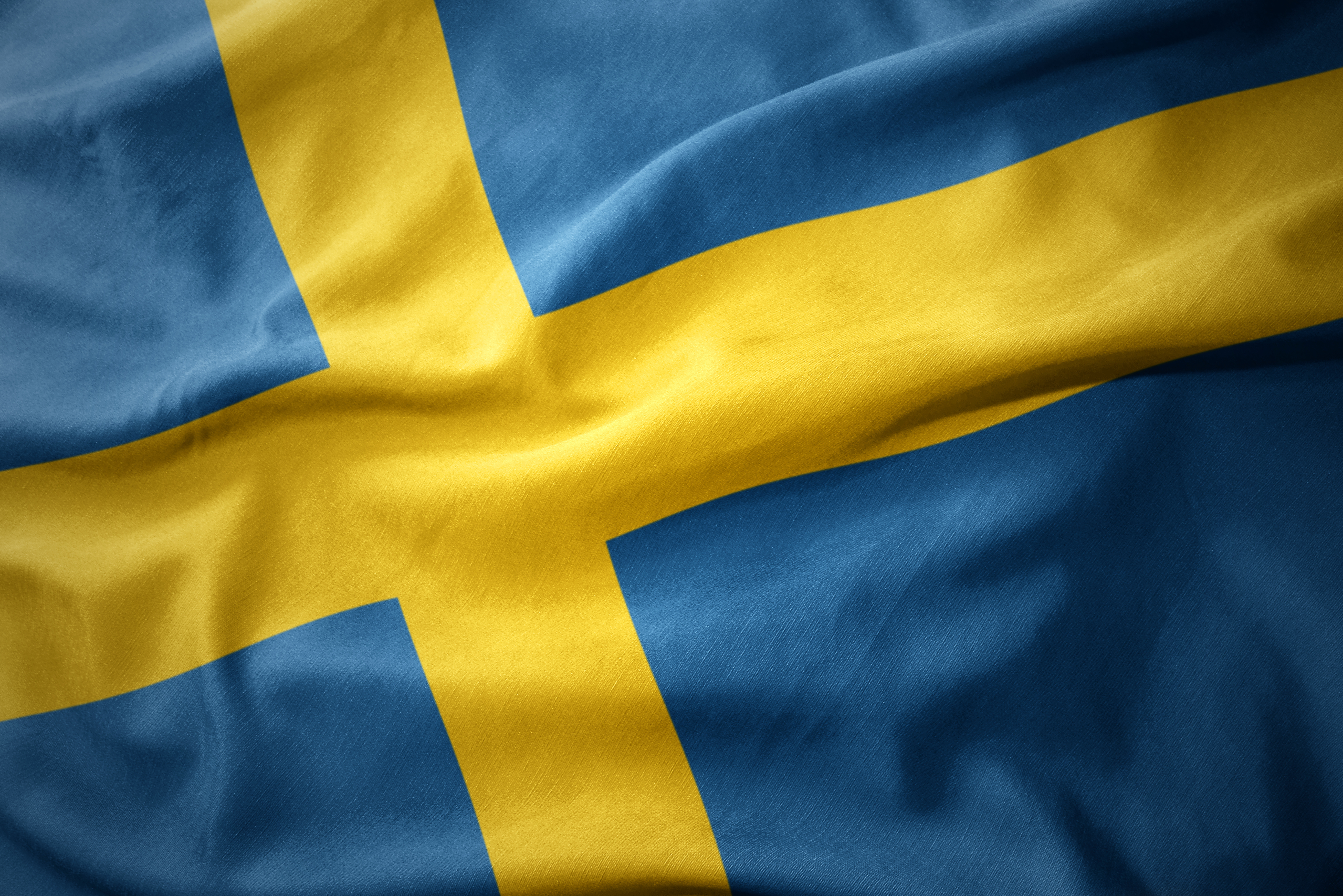 Swedish Government and Banker’s Association Announce Plans to Stop Scams
