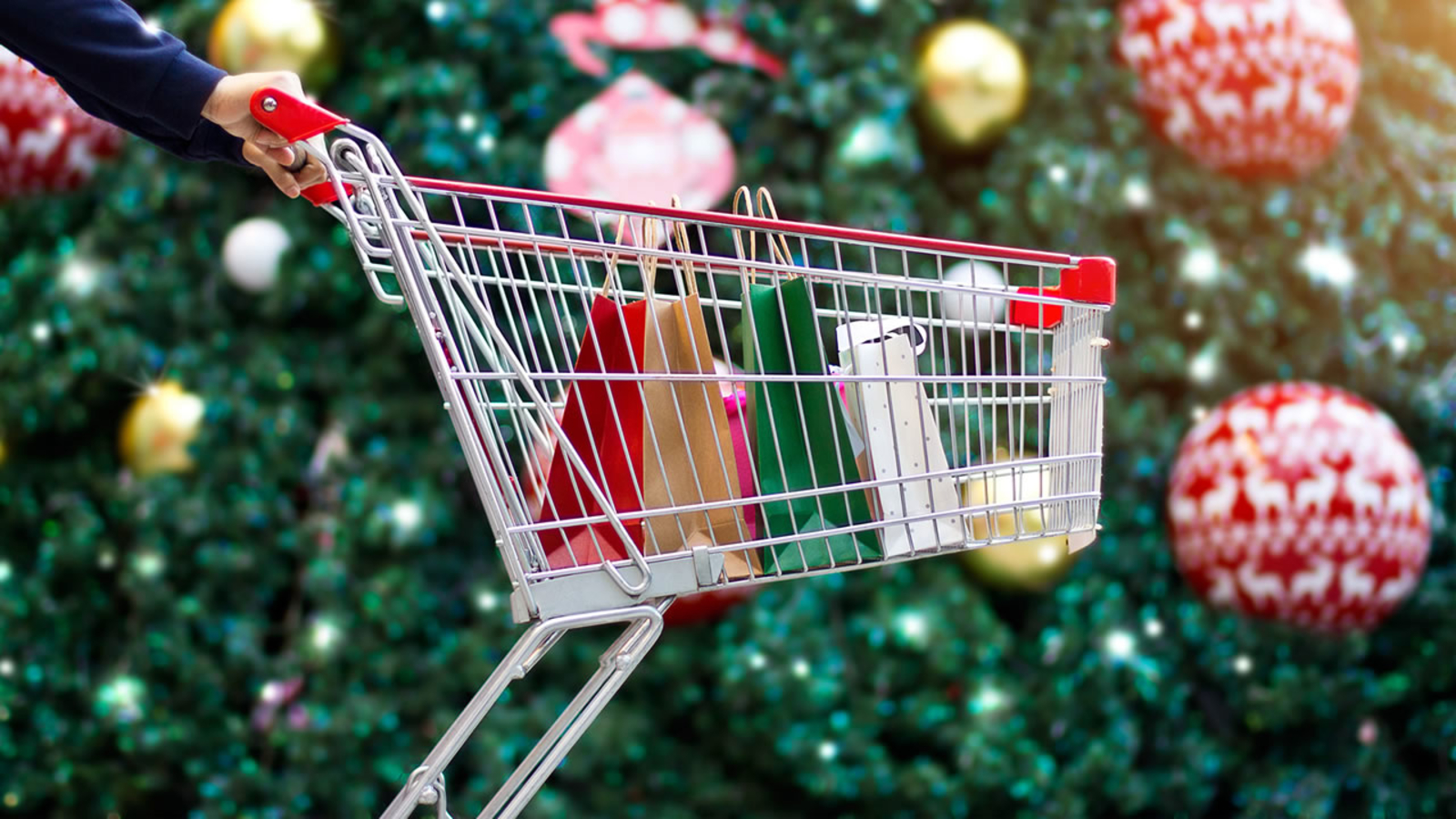 Scam Special: How to Avoid Holiday Shopping Fraud in 2022 featured image